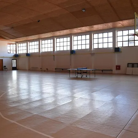 Bed & Breakfast Mm Narcis Vlasina Rid