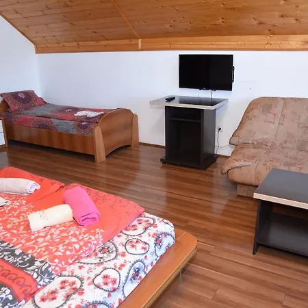 Mm Narcis Vlasina Rid