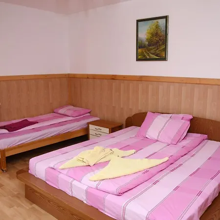 Bed & Breakfast Mm Narcis Vlasina Rid